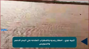 تنبيه جوي.. أمطار رعدية واضطراب الملاحة على البحر الأحمر والسويس
